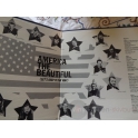 AMERICA THE BEAUTIFUL   