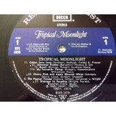 TROPICAL MOONLIGHT