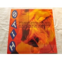 V/A  HITS 2LP