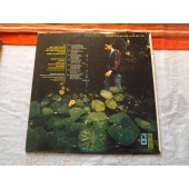 GARY LEWIS AND THE PLAYBOYS   