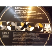 DAVID&DAVID   