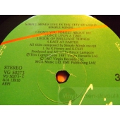 SIMPLE MINDS  
