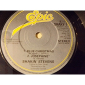 SHAKIN STEVENS  