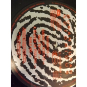 DURAN DURAN    