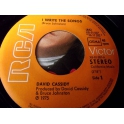 DAVID CASSIDY GET IT UP FOR LOVE