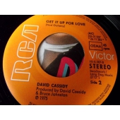 DAVID CASSIDY GET IT UP FOR LOVE
