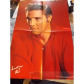 ELVIS PRESLEY  POSTER 