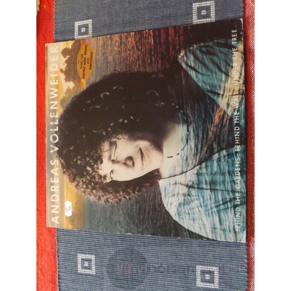 ANDREAS VOLLENWEIDER  