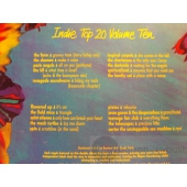 V/A INDIE TOP 