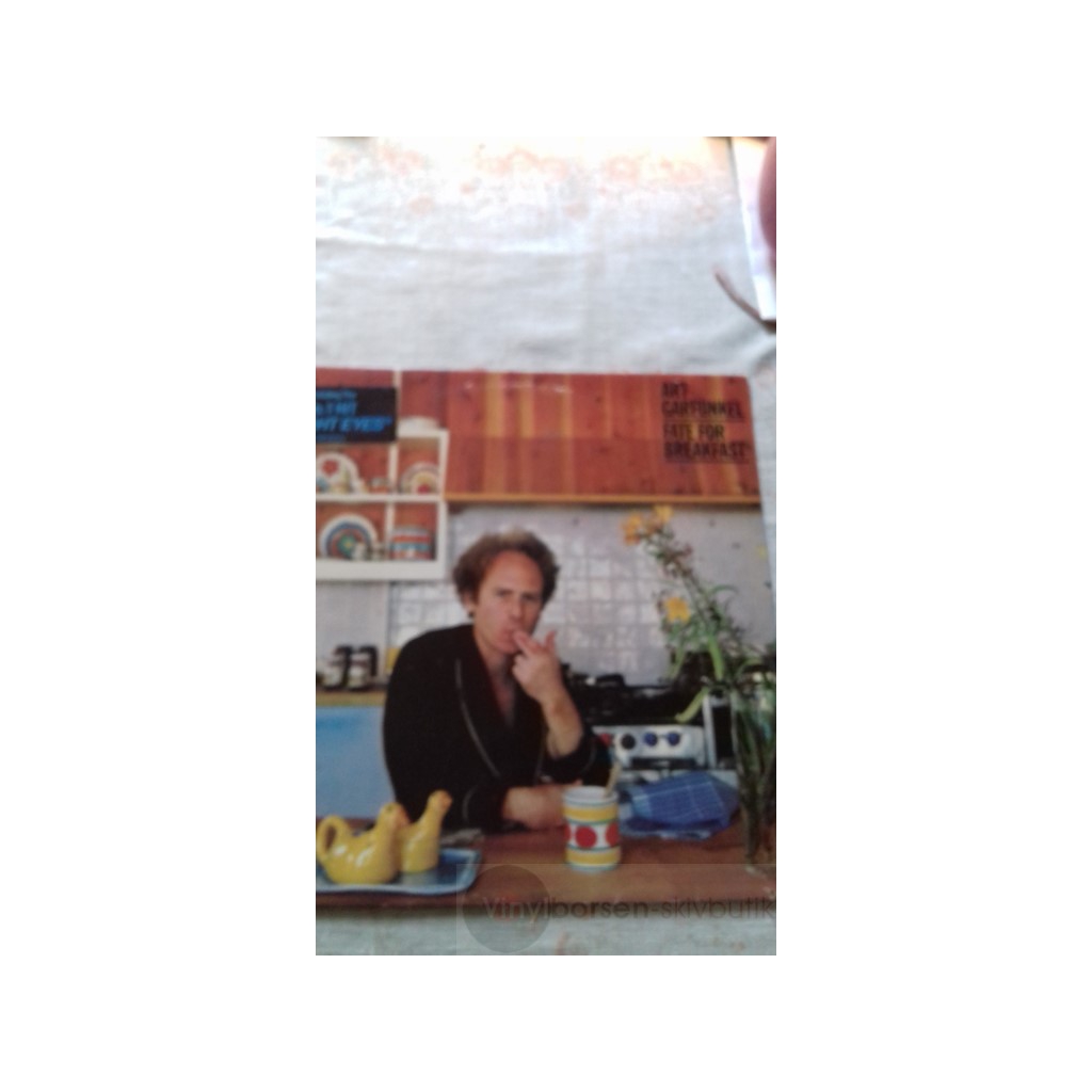 ART GARFUNKEL   