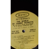 TAMMY WYNETTE     