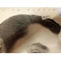  NEIL SEDAKA 