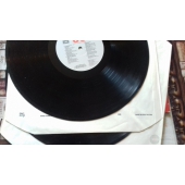 V/A  THE ALBUM OF THE DECADE   THE 80´s 2lp