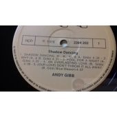 ANDY GIBB   