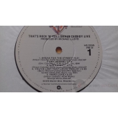 SHAUN CASSIDY   