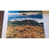 OCEAN   