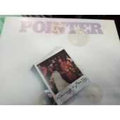 the pointer sisters 