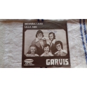 GARVIS 