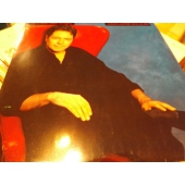 ROBERT PALMER AND UB 40 maxi