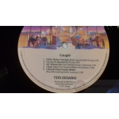 TERI DeSARIO  
