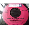 THE FORTUNES HERE IT COMES AGAIN