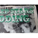 THE HEPSTARS WEDDING