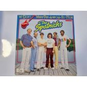 THE SPOTNICKS