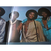 THE JACKSONS DESTINY