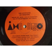 THE SPOTNICKS
