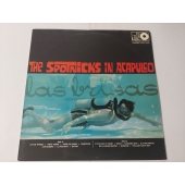 THE SPOTNICKS