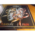 DR. HOOK PLEASURE PAIN