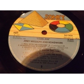 JERRY WILLIAMS I CAN JIVE