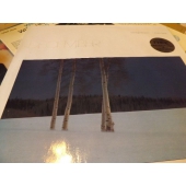 GEORGE WINSTON DECEMBER