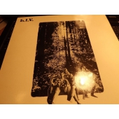 LONG INTERNATIONAL VIBRATION