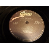 FLASH AND THE PAN LIGHTS AND THE NIGHT