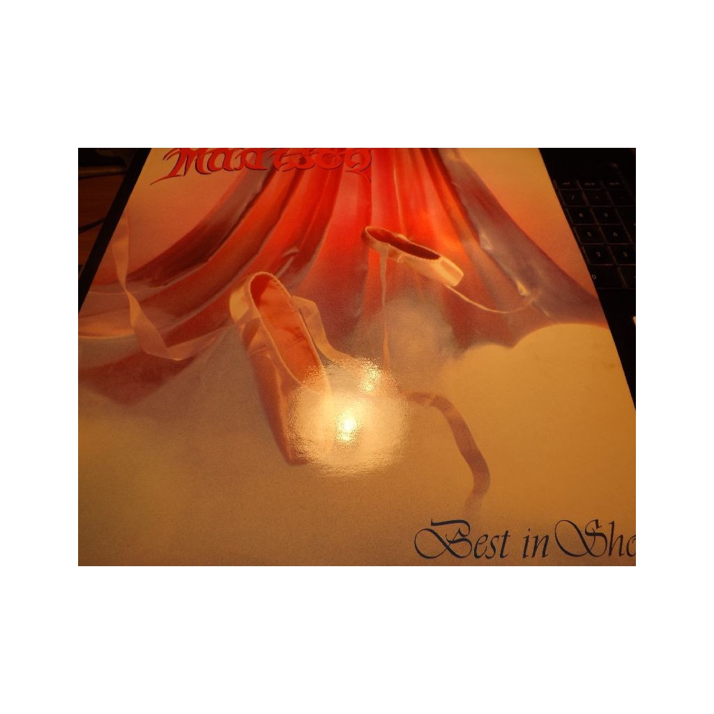 MADISON BEST IN SHOW