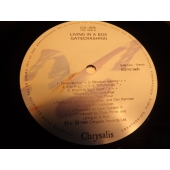 GATECRASHING LIVING IN A BOX