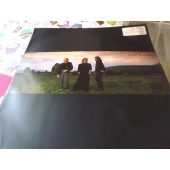 BEE GEES YOY WIN AGAIN