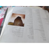 BEE GEES YOY WIN AGAIN