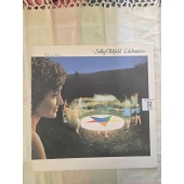 SALLY OLDFIELD...