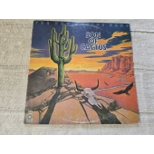 THE NEW CACTUS...
