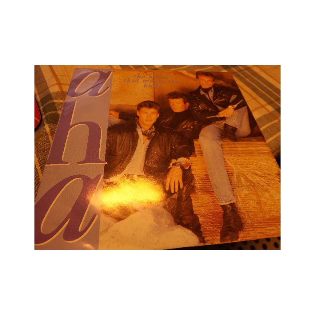 A-HA THERES NEVERA FOREVER THING