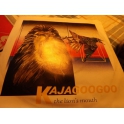 KAJAGOOGOO THE LIONS MOUTH