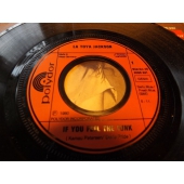 LA TOYA JACKSON ARE YOU READY