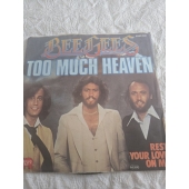 BEE GEES