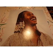 STEVE WONDERS JOURNEY TROUGH 2LPSTEVE WONDERS JOURNEY TROUGH 2LP