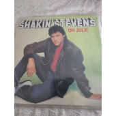 SHAKIN STEVENS