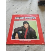 SHAKIN STEVENS