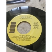 IDRIS MUHAMMAD