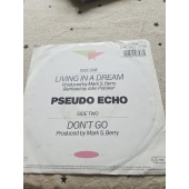 PSEUDO ECHO